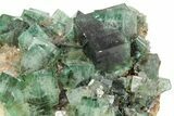 Fluorescent Green Fluorite Cluster - Diana Maria Mine, England #208884-3